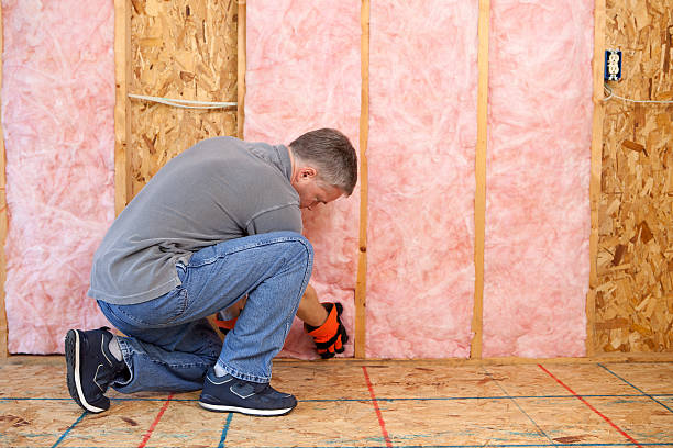 Best Types of Insulation in Clarkson Valley, MO