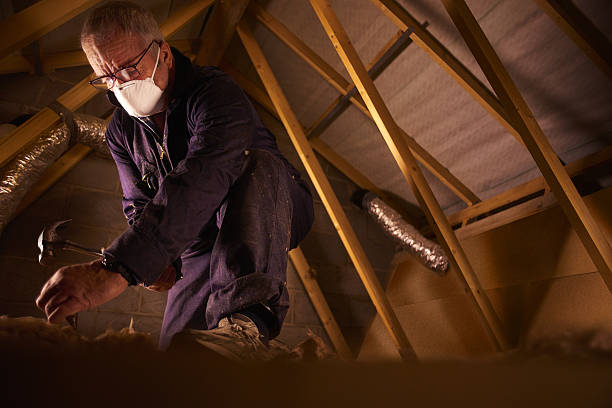Best Insulation Maintenance and Repair in Clarkson Valley, MO